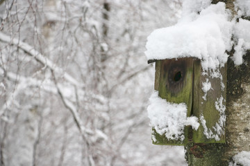 snowy old birdhouse