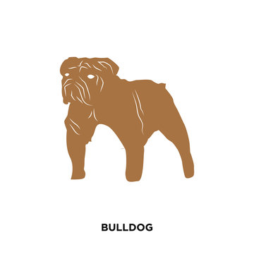 bulldog icon isolated on white background for your web, mobile and app design