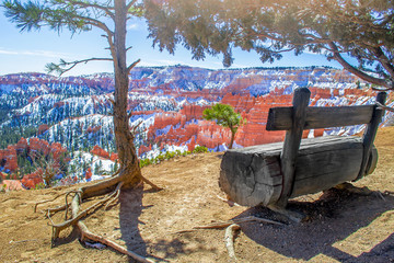 Red-yellow rocks in Bryce Canyon. Bench on top under a tree