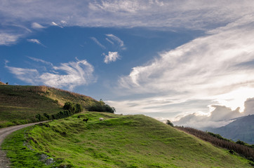 landscape pacefully with a blue skye and green mountains