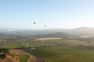 Aerial view of the vineyards of Napa Valley, California, with hot air balloons in the sky 