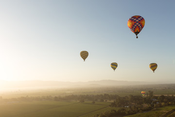Multiple hot air balloons over the vineyards of Napa Valley at dawn