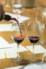 Red wine being poured into a glass during a wine tasting at a winery