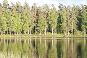a lake in the woods in southern Sweden