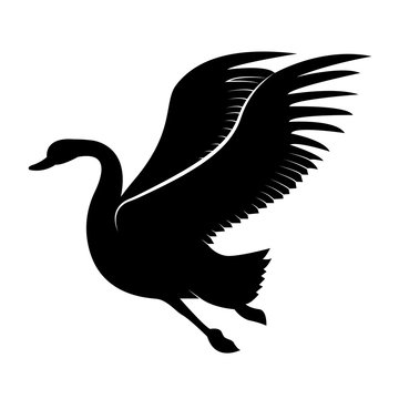 Vector image of a silhouette of a bird swan