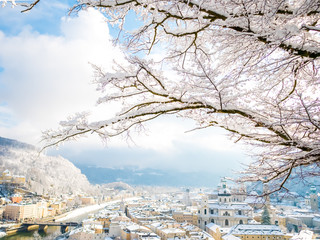 tree branches in the foreground with salzburg cityscape river and fortress