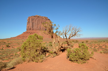 DESERT MONUMENT VALLEY (Arizona,Utah) USA