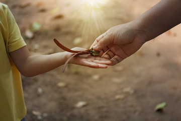 Abstract helping children value and appreciate nature. love of mom.