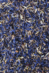 Cornflowers, botanical name Centaurea cyanus or bachelor's button, dried out to be used as herbs for tea, medicine or cosmetics.