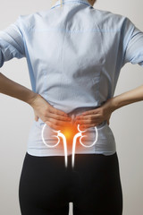 woman body with visualisation of kidneys and bladder