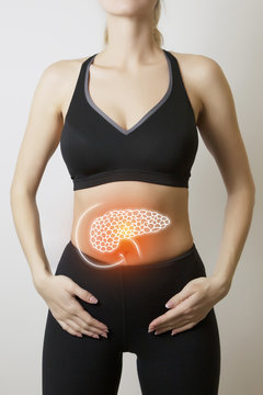woman body with pancreas visualisation