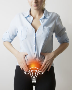 visualisation of genito-urinary system on woman