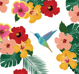 hummingbird floral background
