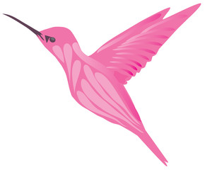 Obraz premium Vector Hummingbird Isolated