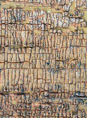 Old wooden background with remains of pieces of scraps of old paint on wood. Texture of an old tree, board with paint, vintage background peeling paint. old blue board with cracked paint, vintage