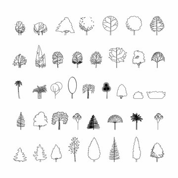 drawing trees for architectural sketches  YouTube