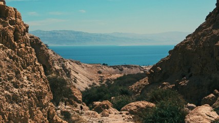 En Gedi Oasis