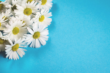 A bouquet of white daisies.