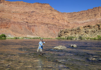 Lone Fly Fisherman on the Colorado river near Lees Ferry, Arizona.