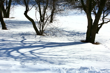 Winter landscapes in depopulated fields and forests and roads of Eastern Europe.