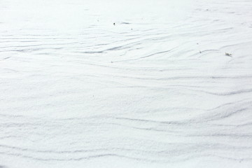 Winter landscapes in depopulated fields and forests and roads of Eastern Europe.