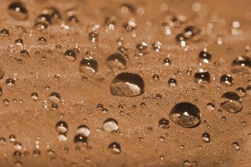 Morning dew. Macro. Toning in pantone color butterum.