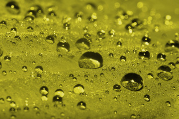 Morning dew. Macro. Toning in pantone color golden lime.