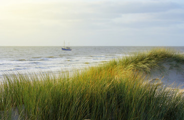 Beautiful beach of the island "Amrum" in late afternoon. Germany