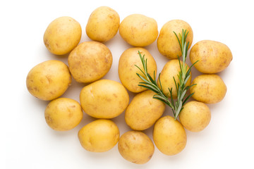 New potato and rosemarin isolated on white background close up.