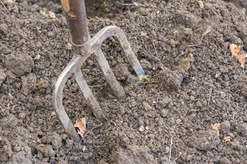 Obraz premium Gratenarbeit im Beet 