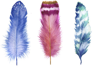 Set of hand drawn watercolor feathers