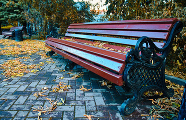 Скамейка в парке