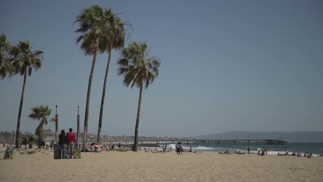 Sandy beach and palm trees
