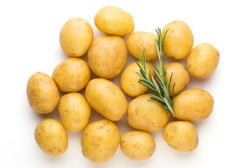New potato and rosemarin isolated on white background close up.