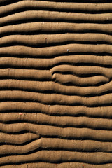 Foehr / Germany: Closeup of the texture of the dry fallen seabed in the Frisian Wadden Sea in the November sun