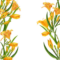 Lily flowers with leaves and buds. Collage of flowers, leaves and buds on a watercolor background. Decorative composition on a watercolor background. Seamless pattern. 