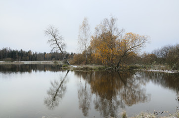 Fototapeta na wymiar Cloudy autumn landscape with trees growing on the bank of pond.Overcast sky.Moscow region,Russia.