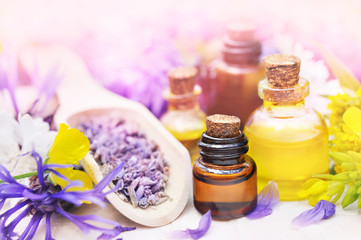 Essential oil bottles on medicinal flowers and herbs background, selective focus, toned