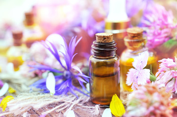Essential oil bottles on medicinal flowers and herbs background, selective focus, toned