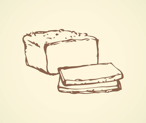 Meat. Vector drawing
