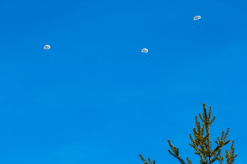 jumping paratrooper fly on a blue sky background
