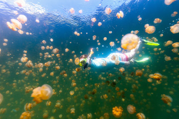 Fototapeta na wymiar Tourist snorkeling in Jellyfish Lake