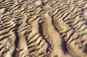 Foehr / Germany: Closeup of the texture of the dry fallen seabed in the Frisian Wadden Sea in the November sun