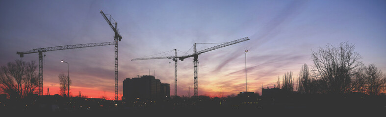 Obraz premium Cranes at sunrise panorama