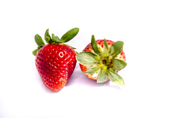  strawberry 