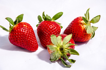  strawberry 