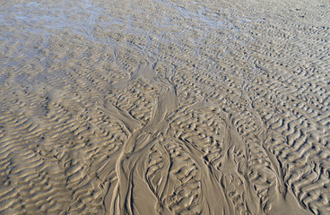 Foehr / Germany: Closeup of the delta-shaped dry fallen seabed in the Frisian Wadden Sea in the November sun