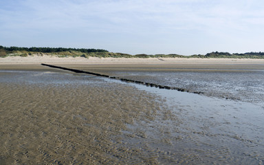 Foehr / Germany: View over a wooden groyne in the Wadden Sea to the dunes on the west coast of the island at low tide