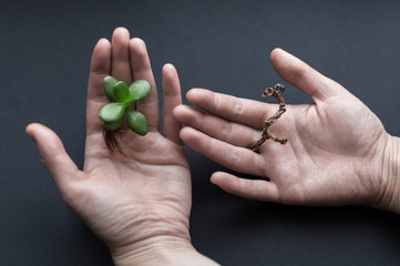 Hands with green and withered plant on the dark background. Concept of ecology, treatment, care, healthcare, environment, nature protection, Earth day.