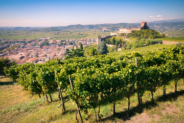 Fototapeta na wymiar view of Soave (Italy) and its famous medieval castle